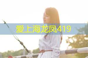 上海各区新茶工作室：National Identity and Religious Belief： A Case Study of Shanghai